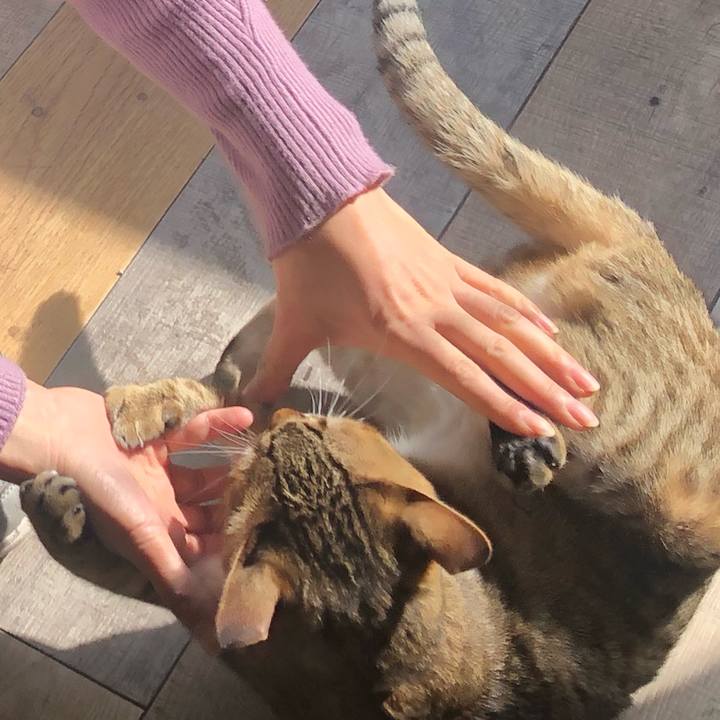 Cd93ad34 e20f 49a9 b8d0 0506bce0a026 1610966279364