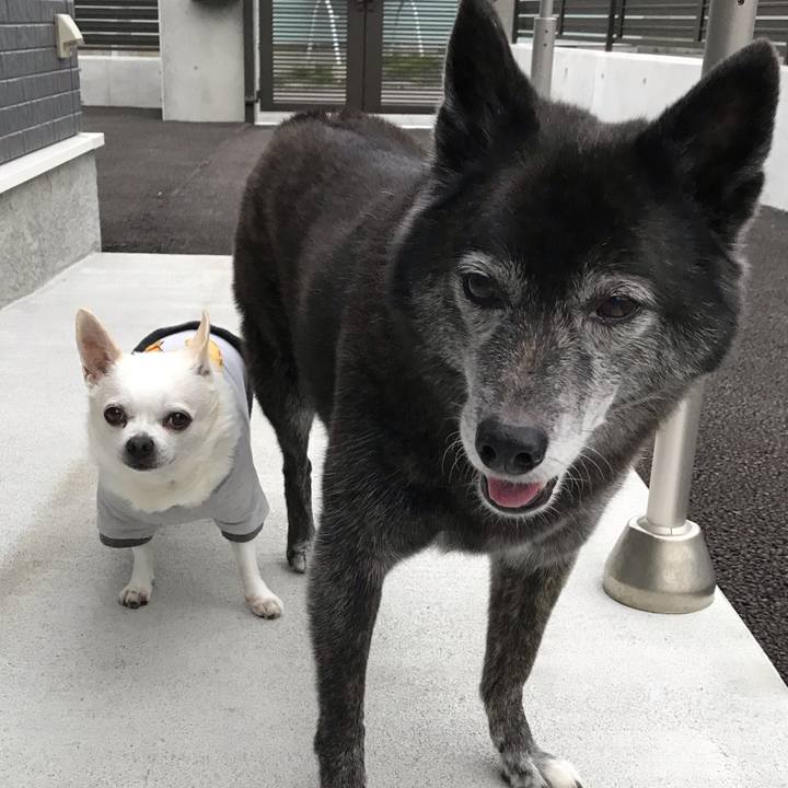 Cd93b115 6da5 4f92 966d 7183084776e4 1604399874219