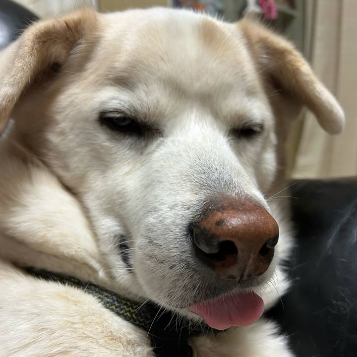 Cd93b875 0f42 43a9 b9cf 12d4eb213c41 1739014610765