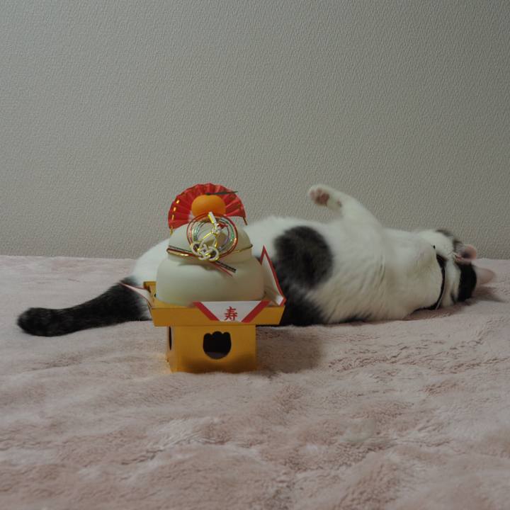 Cd942423 d30c 4598 8daf bad12a4b3946 1514774243231