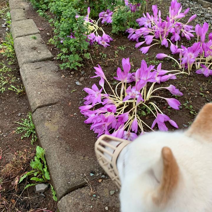 Cd944497 b1cc 45c6 bb85 bfdee0f08d1d 1601933325190