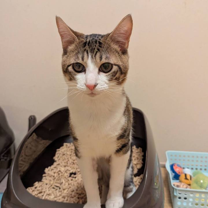 Cd946e55 cb30 4f88 b6b4 5a4c395e7038 1738208772509