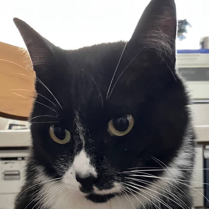 Cd947491 9877 4ffa a08a 0f8b2ab83124 1692538932128