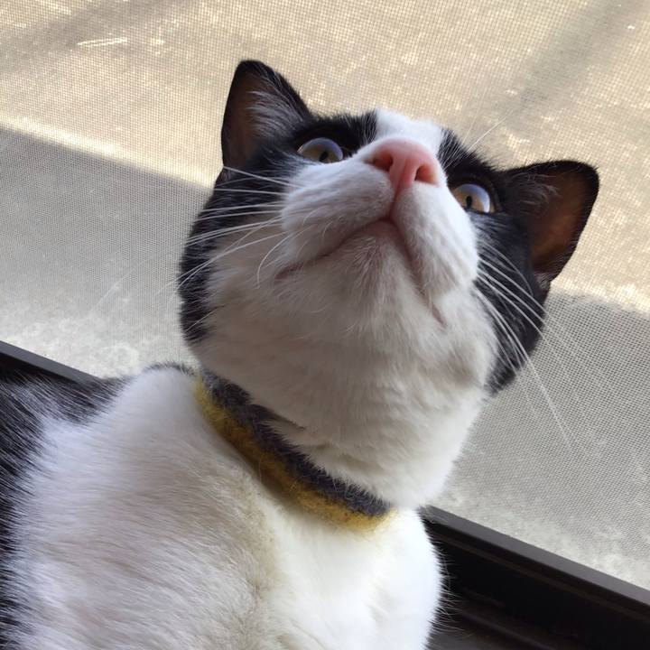 Cd94ba37 5ccd 466a b04f 20c3912305da 1650922344804