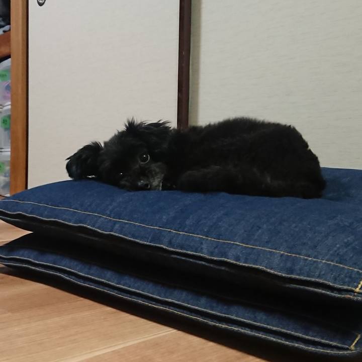 Cd94ee38 e127 45d3 9ffd cb6fff5060a5 1528546949636