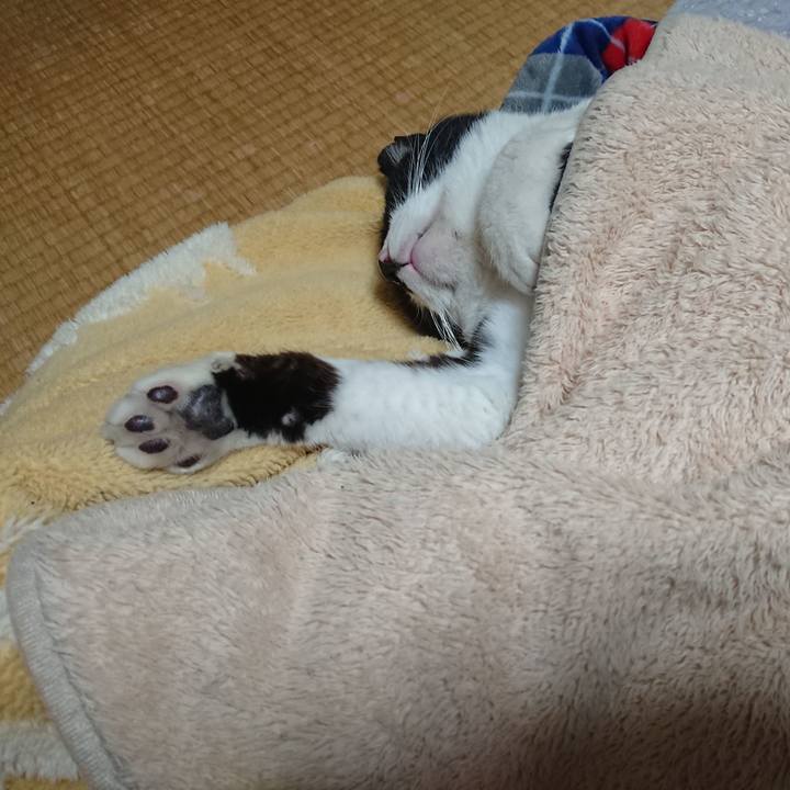 Cd94fc72 6bf6 43a7 be2b 49489065dceb 1676032817749