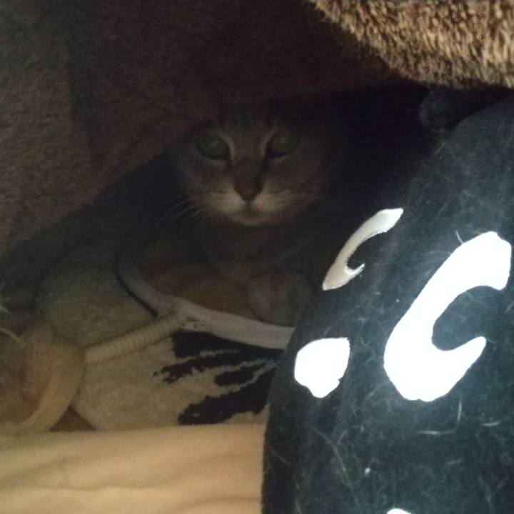 Cd950991 b391 4a0c b50c 657e5bdd9e76 1637213836167