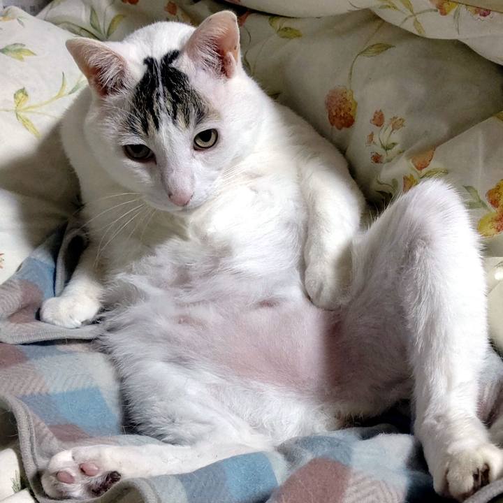 Cd9526f8 6333 4eea adc8 09d512e40d96 1609729451182