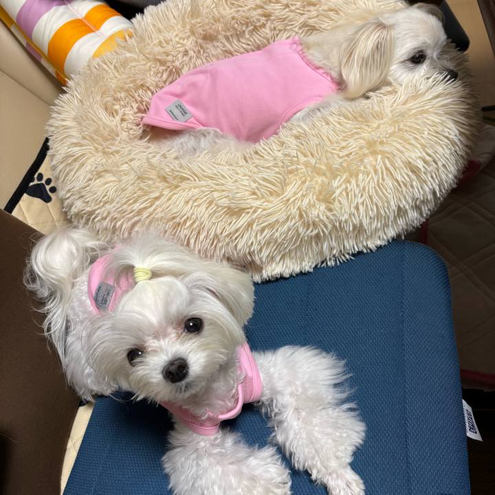 Cd953e5b 4fba 43ec bf6c ca556a1ec2d8 1754903778338