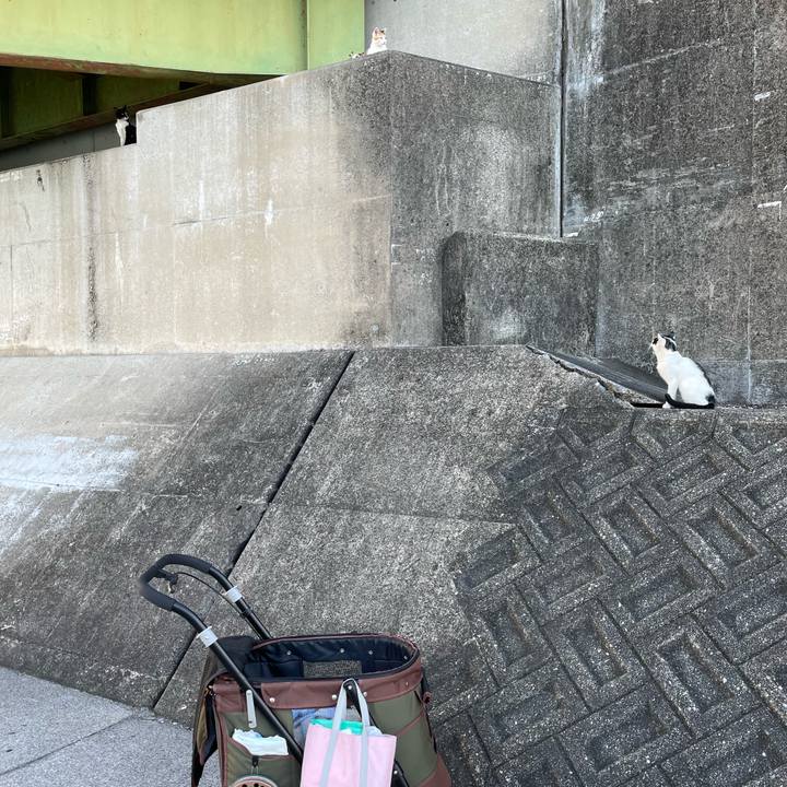 Cd9555e0 1622 4d5c a94b 8f5887b42bda 1663682582875