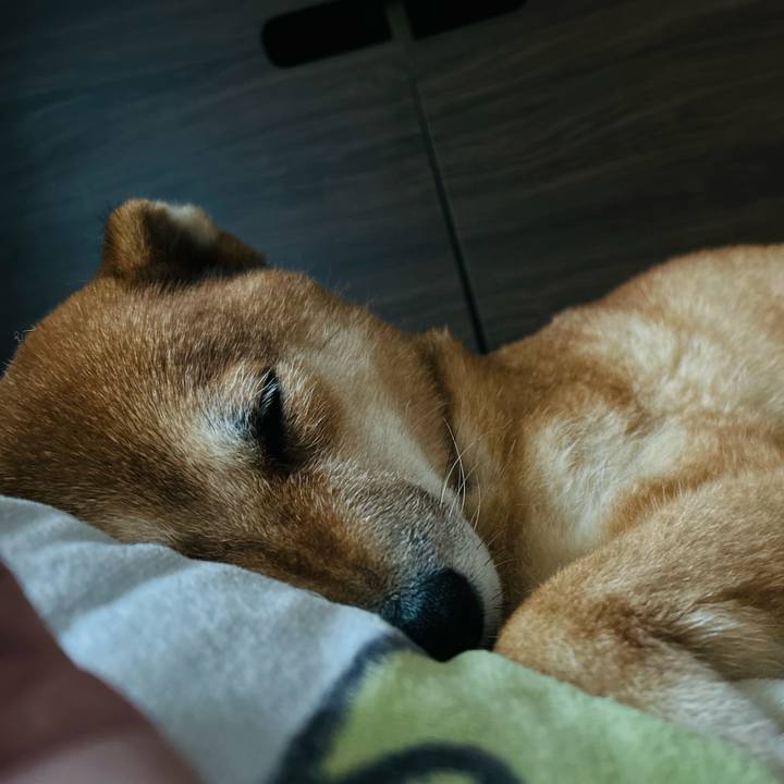 Cd9577cf 7ab4 484a 843c b3c1863edcff 1760244448248