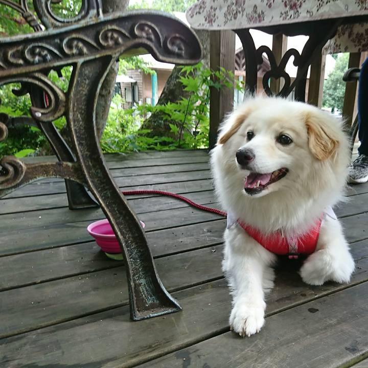 Cd9586b1 3c6d 4b9e 824f 22e67f576616 1761477115502