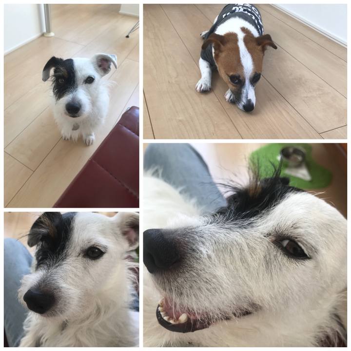 Cd958b71 a861 45de a84b 7cbc008efd8d 1532830417033