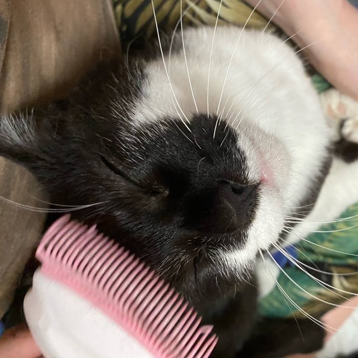 Cd95b107 371f 4a38 8675 377e5c16da1d 1620103197791