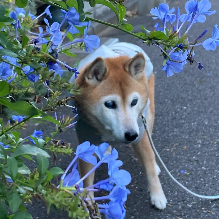 Cd95bc74 6149 49c5 a9ec 73efe7818fc1 1762775137474