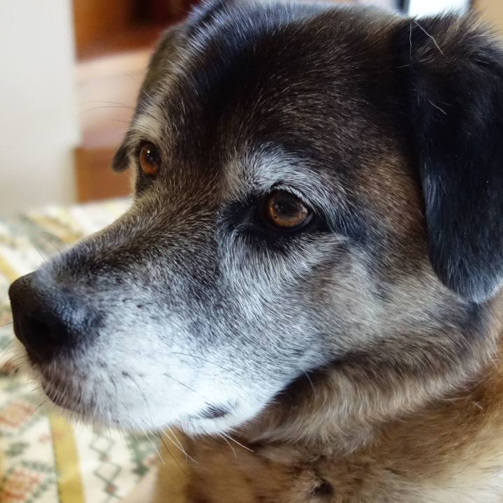 Cd95c1a4 5a0c 469a 8c6d 7cdd801e3255 1635727678653