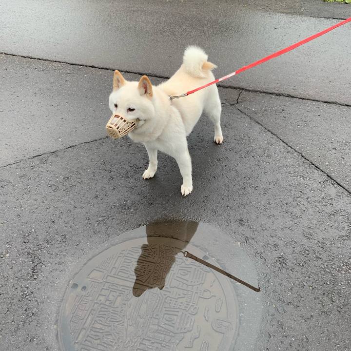 Cd95d94b b6ac 4695 9034 028fac3e43d5 1594155463307