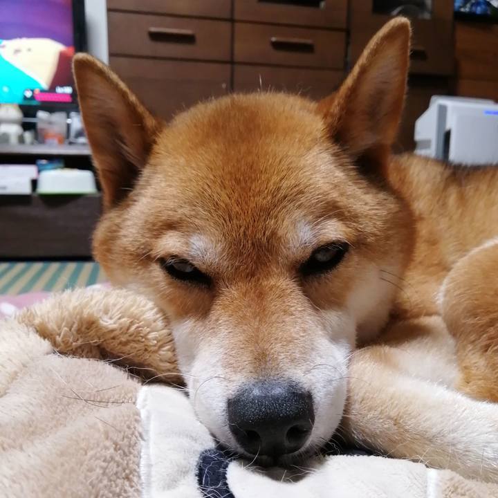 Cd95e05b a5e7 4fa7 8cc7 966faa9cda1a 1593346227117