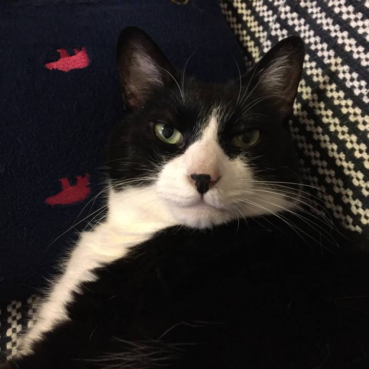 Cd95f834 2431 408d be39 88b8c9097fd8 1531310080260