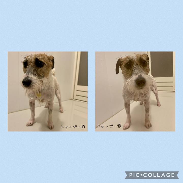 Cd9611bd edec 4f2c 81ab 62c9b8d1681f 1619954667653