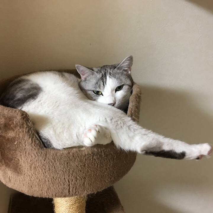 Cd9652a3 7fbf 4fdb a435 2fa7e9c04ea4 1515508083264