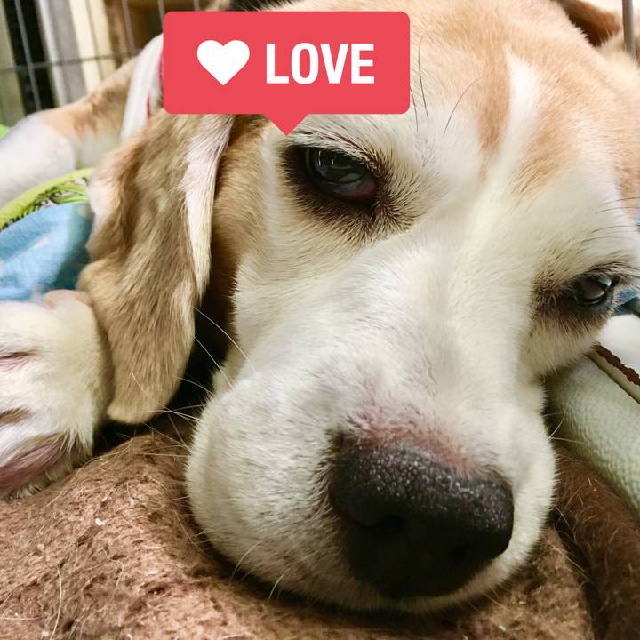 Cd9676a4 7f6f 423d 9fb7 f08d5a49290c 1567050558625