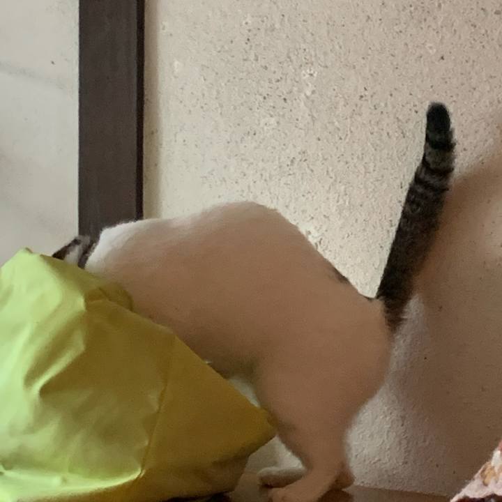 Cd968728 134b 47f2 b3c0 9710e9f33b5c 1679031726910