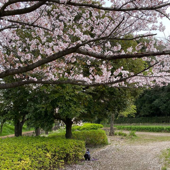 Cd96c1f5 e27d 4e62 afbf 1dd73680f5b3 1649293005256