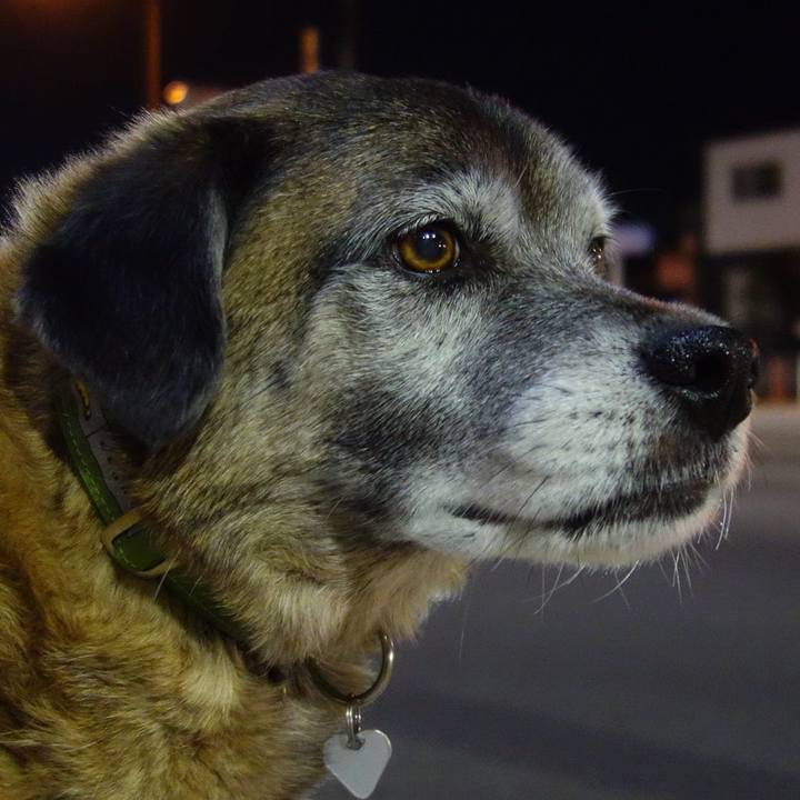 Cd971067 f3eb 4be9 bb00 537fdb539e0c 1657754287791