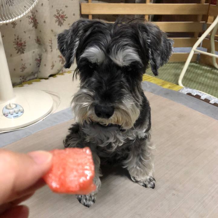 Cd971597 6762 40de 95db c29985679d5b 1654438834746