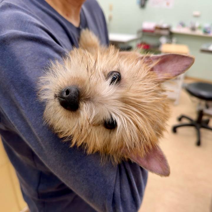 Cd974198 76c5 4e57 b2b8 3c9d687ebd80 1703775125523