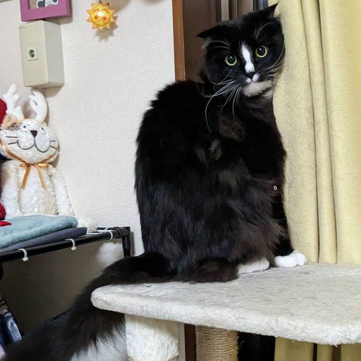 Cd97893d 3248 45d9 a4c0 9f458adcfe57 1710847666793