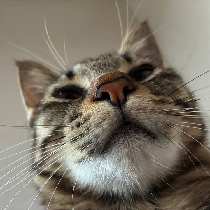 Cd979b60 50ba 40d9 aa40 545af293c96b 1753647232188