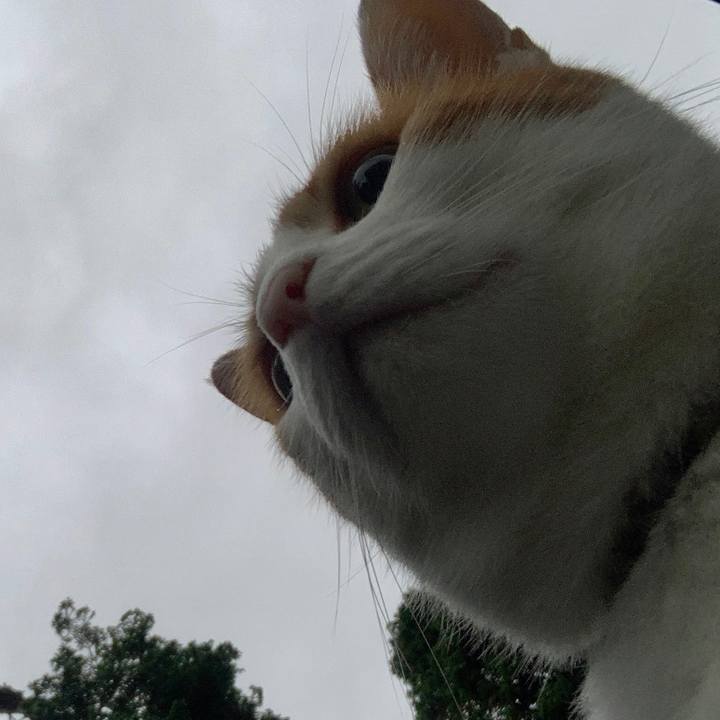 Cd97ab55 e5a3 43c0 82ee 3502b528ddcc 1628804095500