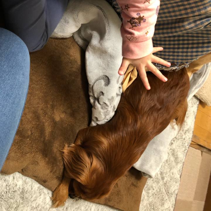 Cd98265e eea9 4640 a61b 02dba226a370 1577523364426