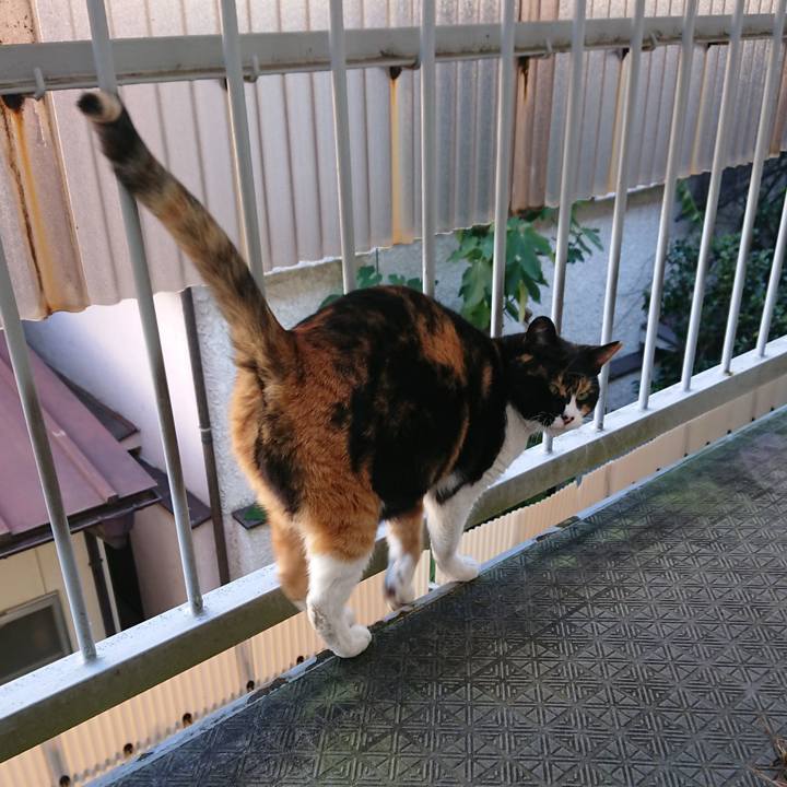 Cd9851d3 1628 476c a63a 413f7571cf8d 1575093688961