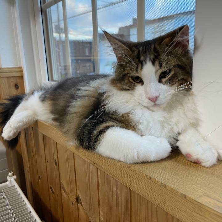 Cd988cb4 9fb5 4f91 aa5a e5a20454cdec 1636928763278