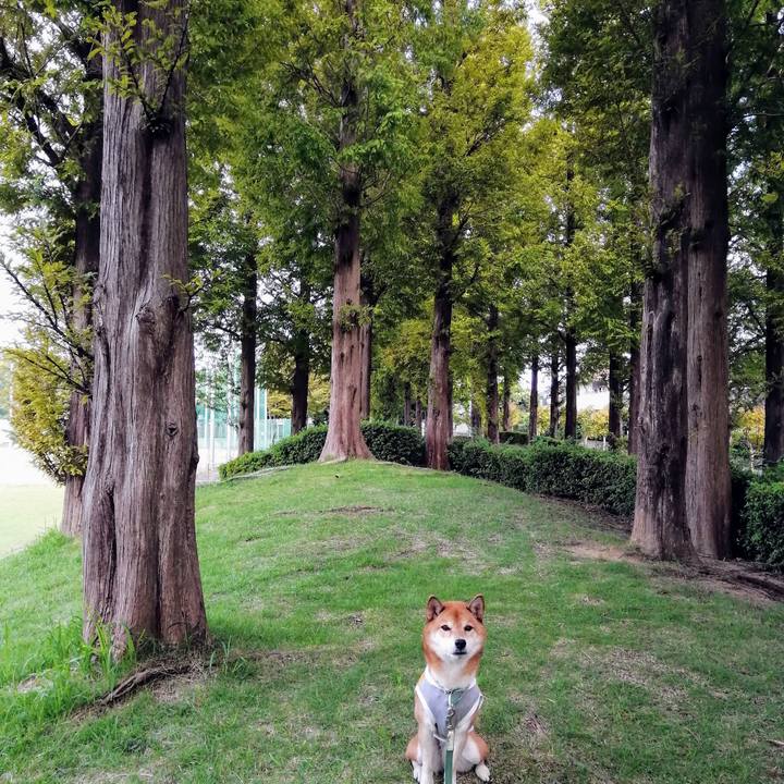 Cd98bf75 e0af 473b 9cc5 cc7c3a41aede 1632791099590