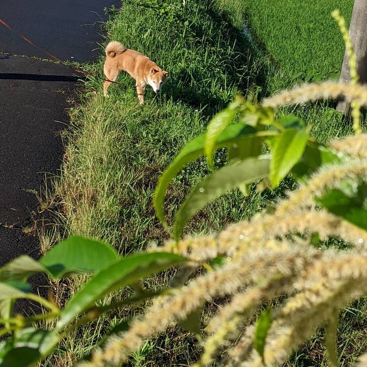 Cd98eca4 3b93 4ee2 9cfb d54ec3e9cba0 1686221392537