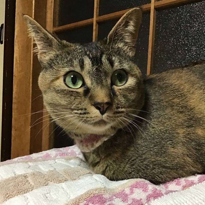 Cd98faa6 0660 4b35 97a6 6db9d5c83590 1655468927525