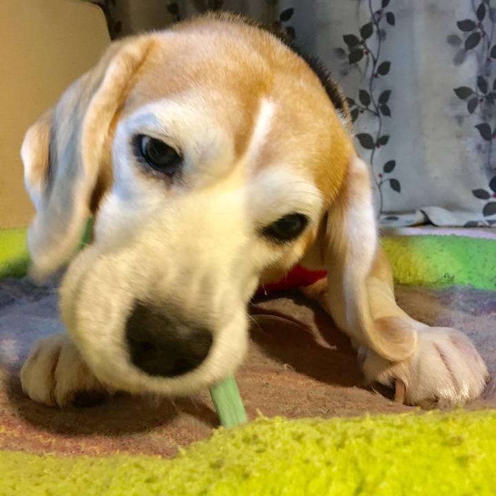 Cd99165f ac0b 441c baec f1b527570236 1549808988978