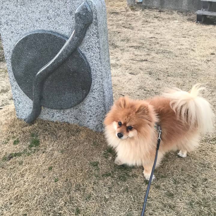 Cd992a5a 44a6 4a64 bf41 ac380bf78960 1518093282501