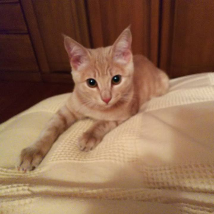 Cd993b24 40c7 400b be26 4831e05e4068 1544016660742