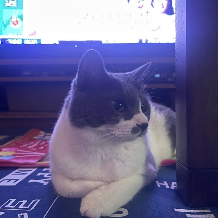 Cd996aa4 699a 49ca 8da4 b903105c0bbe 1692049366373