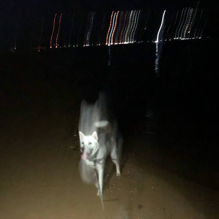 Cd999065 ca1d 40c0 910d a25b708ab640 1598103808052