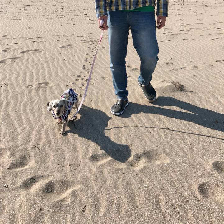 Cd99a920 5044 44be 9c6d 95f52860d388 1526824155393