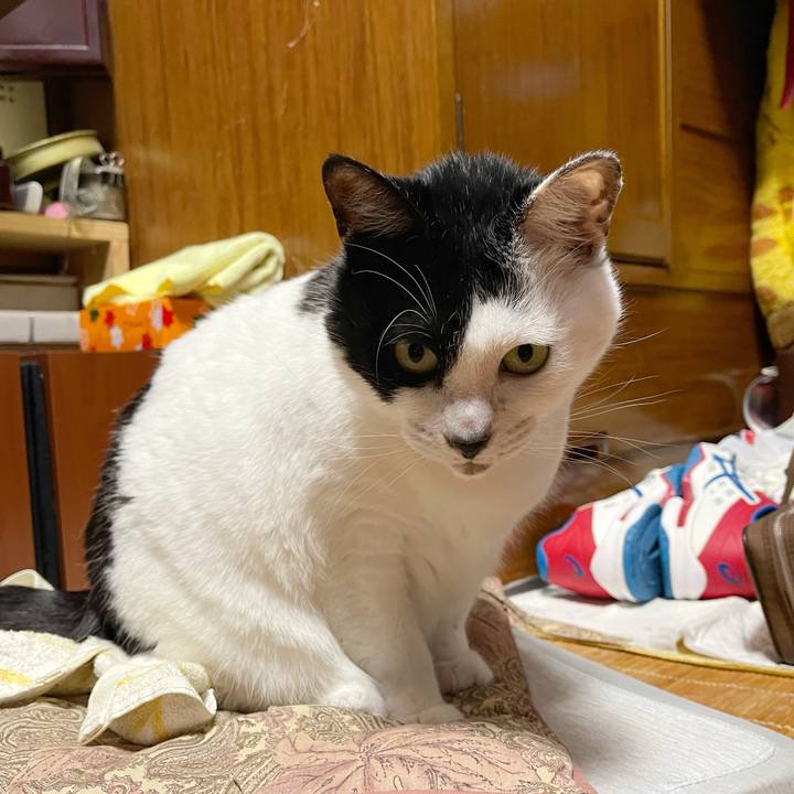 Cd99afe2 c458 4071 b21f ed1d4822cbc7 1771195721376