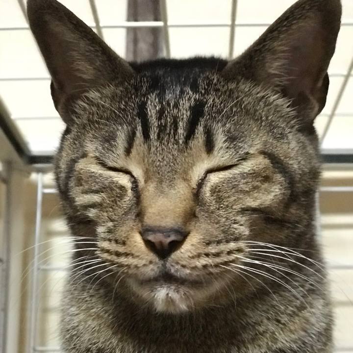 Cd99e0ac 3793 4807 b165 d4bba48ccf3d 1517360537376