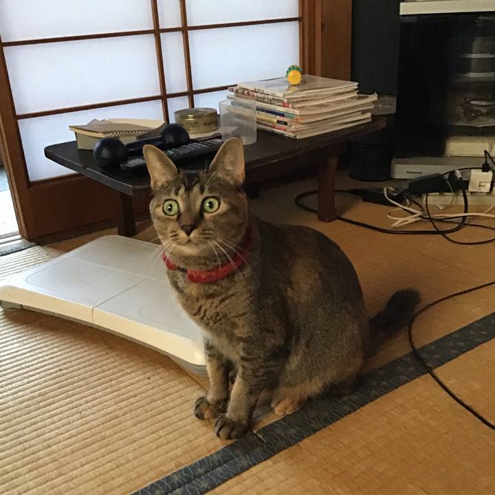 Cd99e2a4 70bc 408b 809f b1790fc2c973 1600120792281