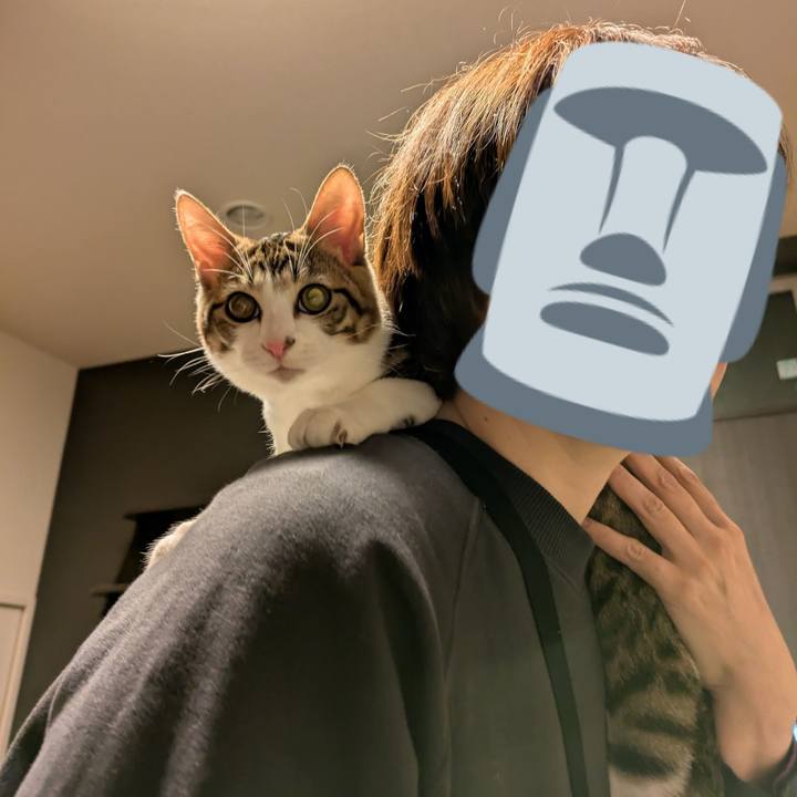 Cd9a14b2 dabb 40c4 b682 8f08af63f70d 1739681004788